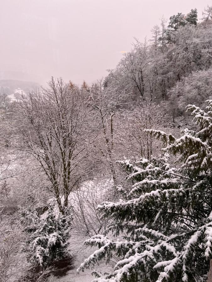 Waldseele Appartement 巴滕贝格 外观 照片