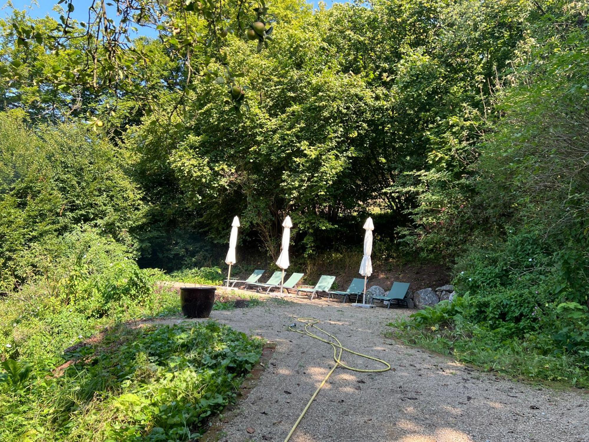 Waldseele Appartement 巴滕贝格 外观 照片